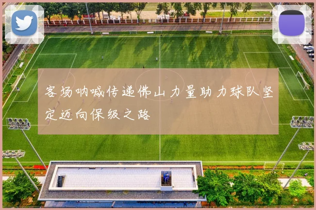 客场呐喊传递佛山力量助力球队坚定迈向保级之路