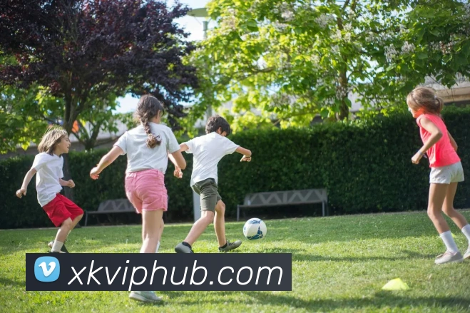 多媒体互动体验